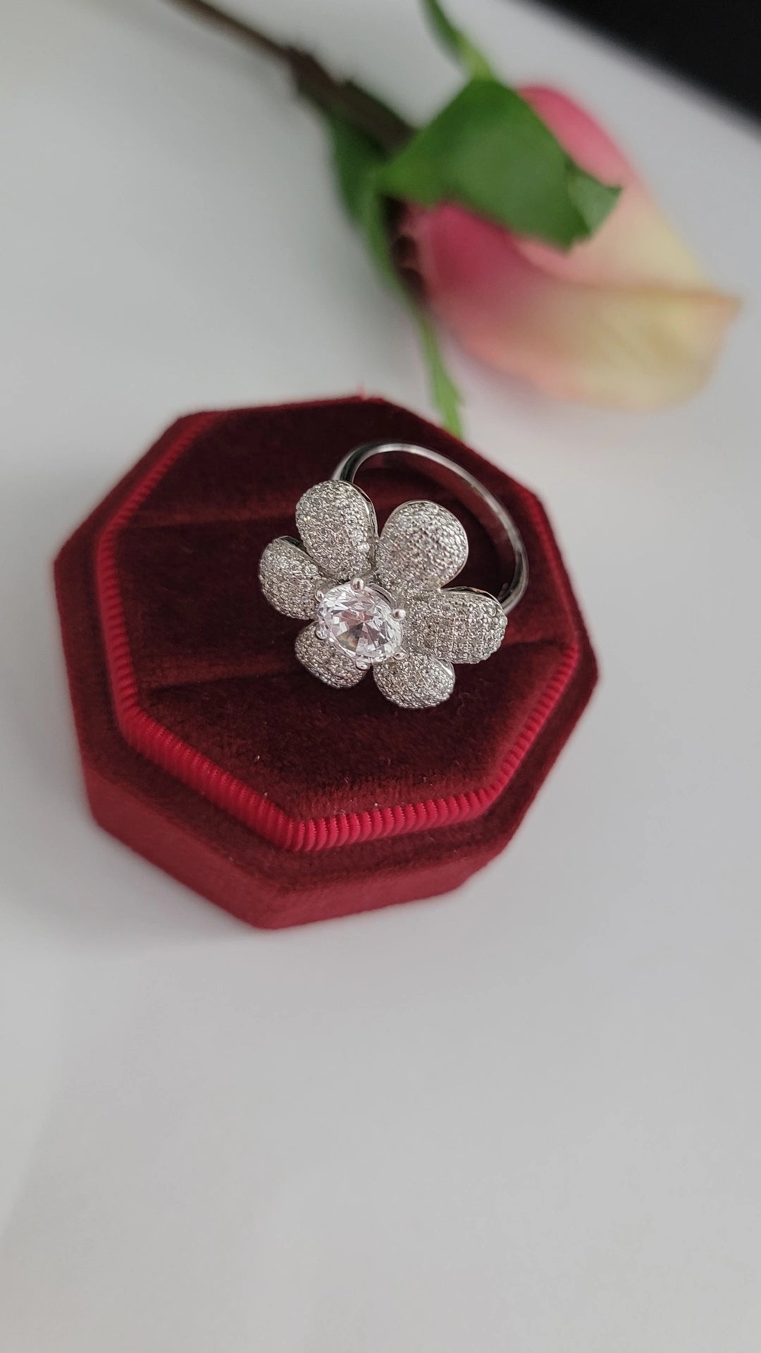 Plata 925 size 6